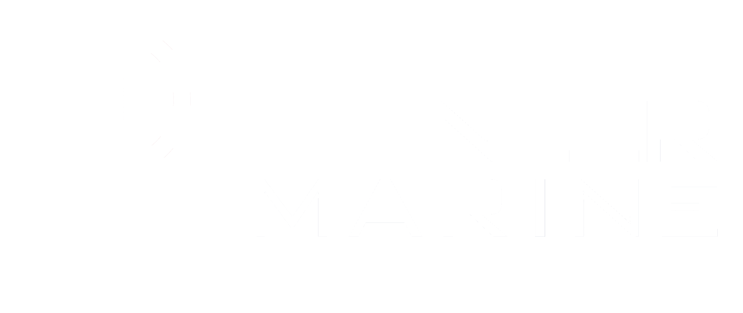 Pioneer Marine Cyber